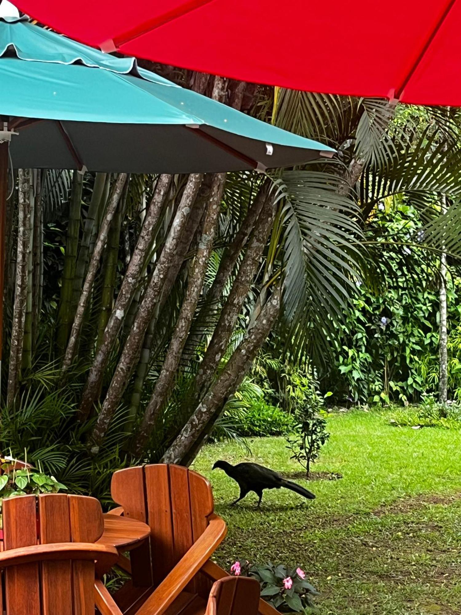 Jardim Secreto - Itaipava Apartment Petropolis (Rio de Janeiro)