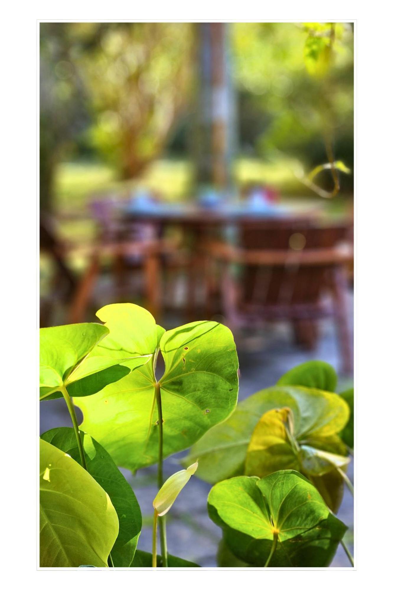 Apartment Jardim Secreto - Itaipava Petropolis (Rio de Janeiro)